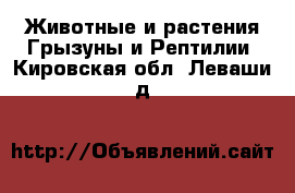 Животные и растения Грызуны и Рептилии. Кировская обл.,Леваши д.